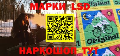 амф Кандалакша