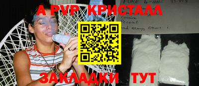 амф Кандалакша