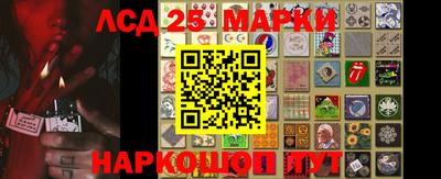 амф Кандалакша