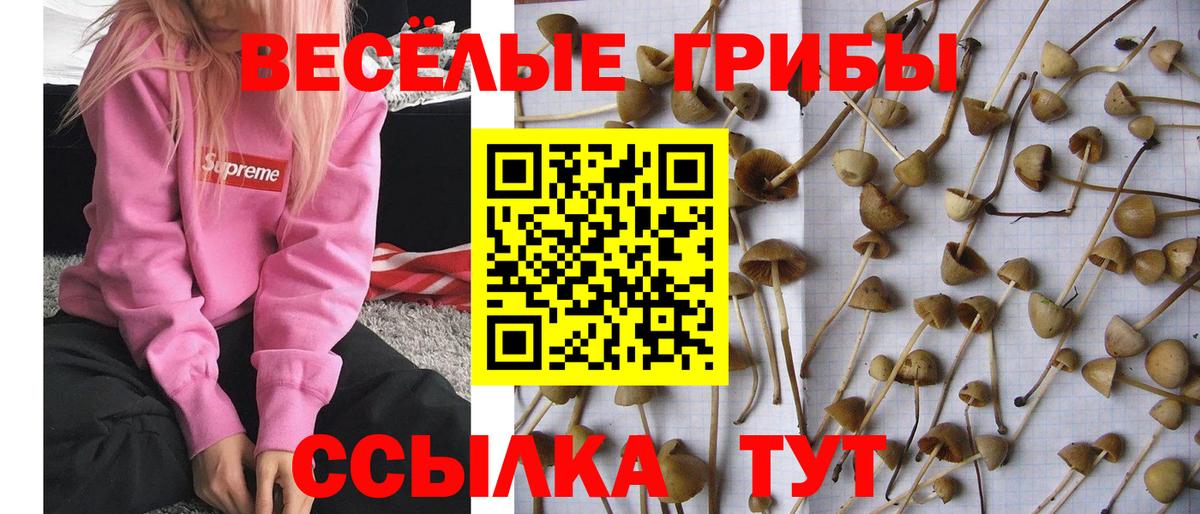 Псилоцибиновые грибы Magic Shrooms Кстово