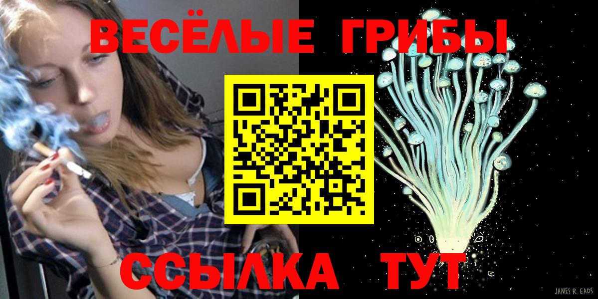 Галлюциногенные грибы прущие грибы  Галлюциногенные грибы прущие грибы  купить  сайты  Вход с VPN  Кстово 